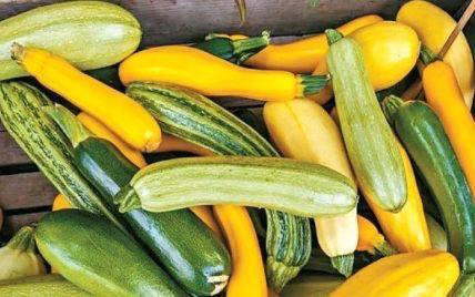 Ένα από τα καλύτερα λαχανικά για μια υγιεινή διατροφή είναι το κολοκύθι!